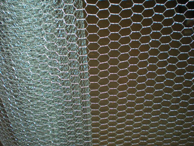 hexagonal wire mesh