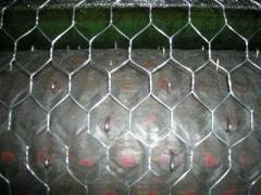 hexagonal wire mesh