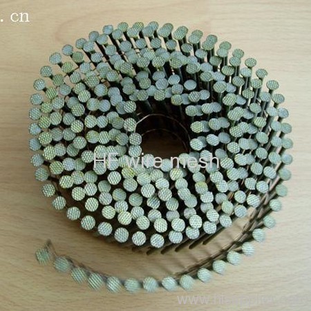 electro galvanized coil roofing nails