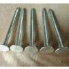 High quality coil roofing nails