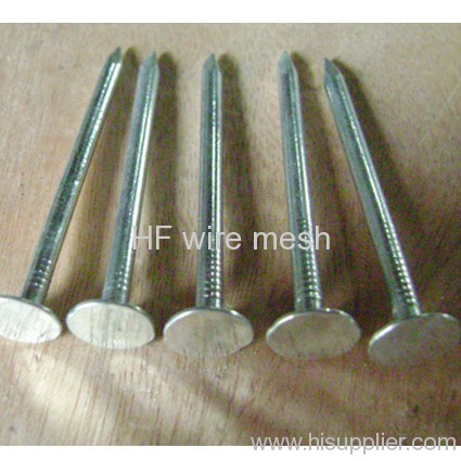 high quality coil roofing nails