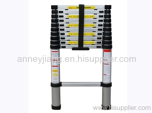 telescopic ladder