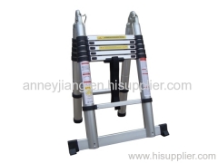 Telescopic Ladder