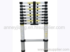 Telescopic Ladder HD-C09