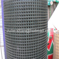 Electric galvanized Welded wire mesh