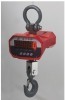 Digital Crane Scale Hook