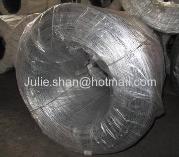 Galvanized Wire Mesh