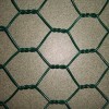 PVC hexagonal garden fence