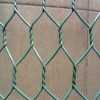 Fencing green hexagonal wire mesh