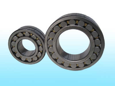 ShanDong puruisen bearing technology compamy