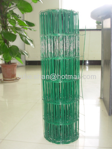 Holland wire mesh