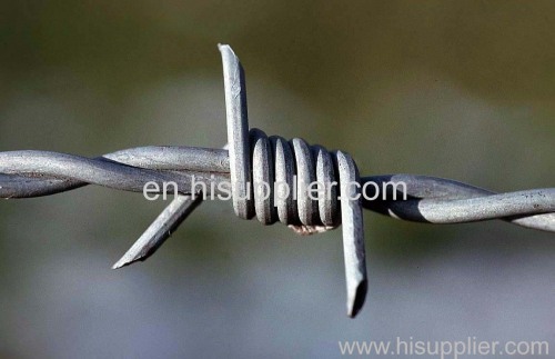 electro galvanized barbed iron wire