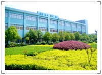 Ningbo WT bearing Co., Ltd.