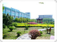 Ningbo WT bearing Co., Ltd.