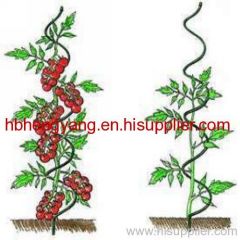 PVC coated Tomato sprial plant support