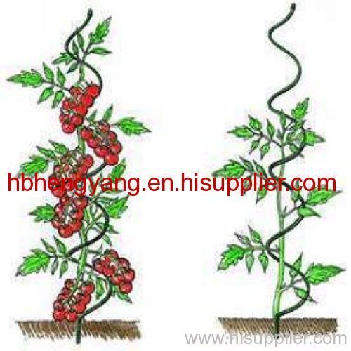 PVC coated Tomato sprial plant support