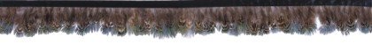 Marabou feather trimming