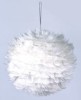 Feather Ball