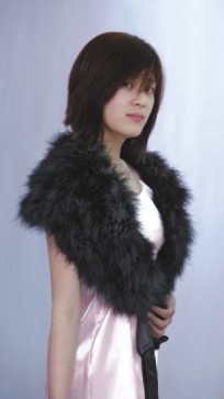 Feather shawl