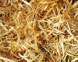 Drying Wood Shavings for animal