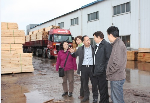 North American log sheet field inspection