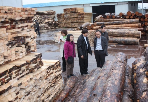 North American log sheet field inspection