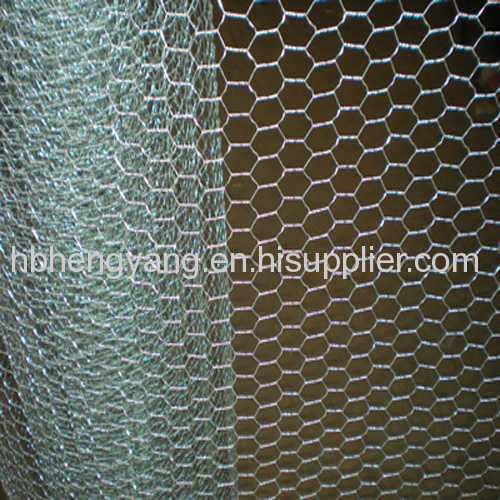 galvanzied hexagonal wire netting