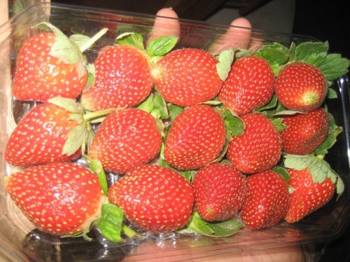 Strawberry