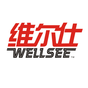 Wuhan WELLSEE Electronics Co., Ltd.