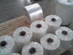 Shandong Taikang Biodegradable Packing Materials Co., Ltd.