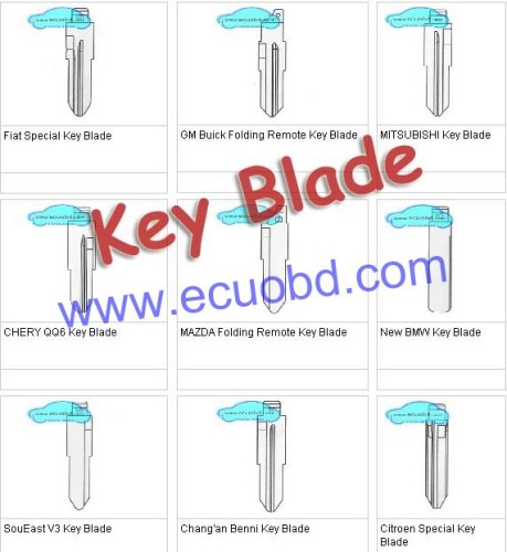 Free Shipping Flat Bmw Chery Citroen Key Blade