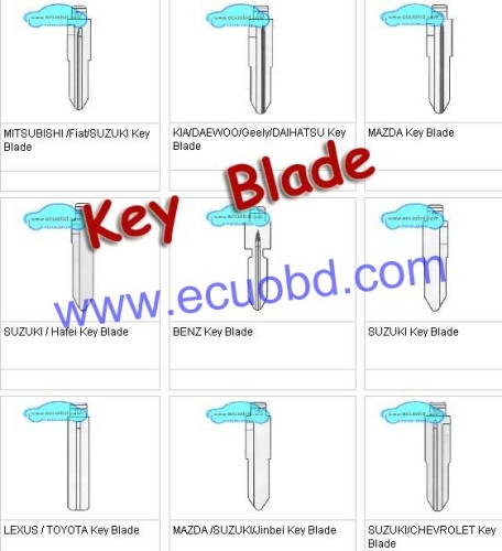 Free Shipping Mitsubishi Mazda Benz Kia Suzuki Lexus Key Blade