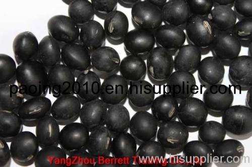 Small Black Beans