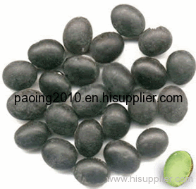 black beans with green kernel