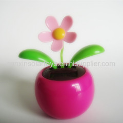 Solar Apple Flower/Solar Powered Flower