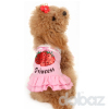 Dobaz brand dog dress, pet clothes