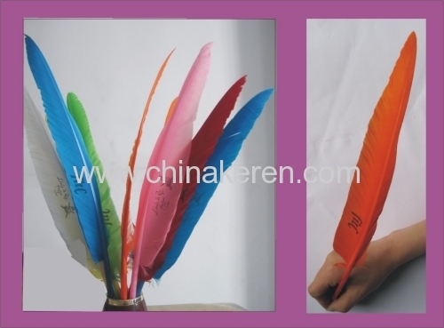 meeting promotion colored feather pens