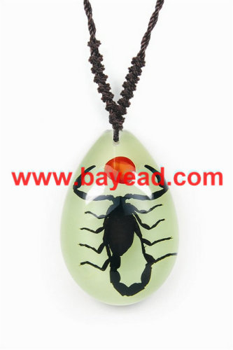 real Insect jewelry