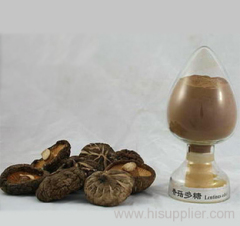 shiitake extract