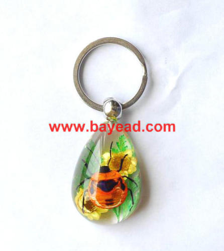 real insect amber keychains,bug keyring,so cool gift
