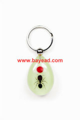 real insect ant amber keychains,real ant keyring,ant key ring