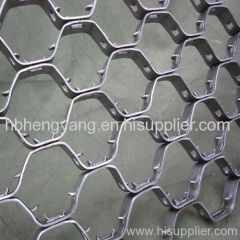 tortoiseshell mesh