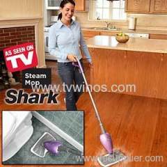 H2O steam mop