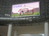 indoor p10 full color led displays