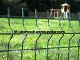 wire mesh fence