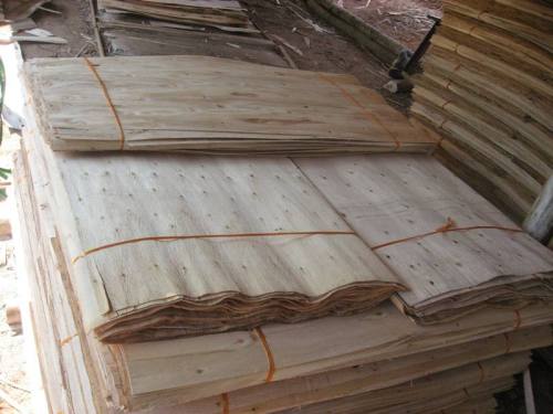 Core Veneer for making plywood