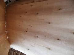 Eucalyptus Core Veneer