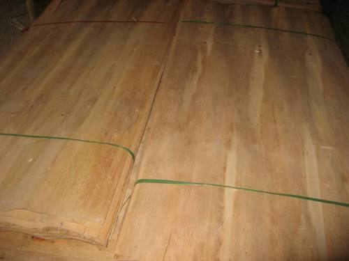 Rotary Cut Acacia Core Veneer