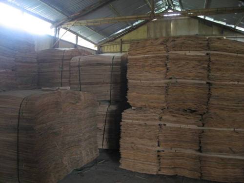 Rotary Cut Core Veneer for Plywood