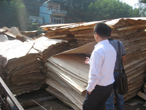 Acacia Core Veneer